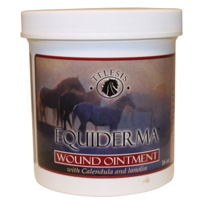 equiderma wound ointment