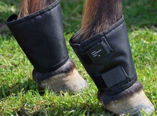 fetlock sheild