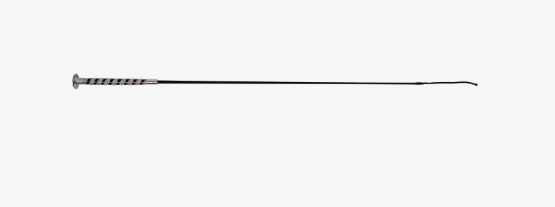 qhp crystal dressage whip