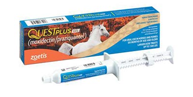 quest plus gel equine oral gel