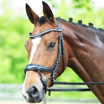schockemohle equitus beta dressage bridle cob / black/silver