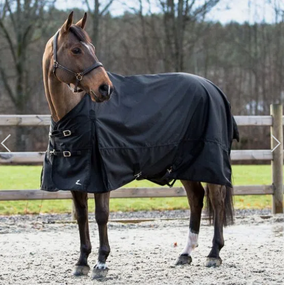 horze nevada lightweight turnout sheet