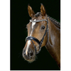 hkm emilia bridle