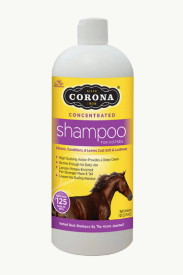 corona shampoo concentrated shampoo