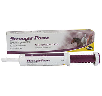 strongid paste 20ml tube